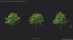 Maxtree Plant Models Vol 20 Low - Mesh