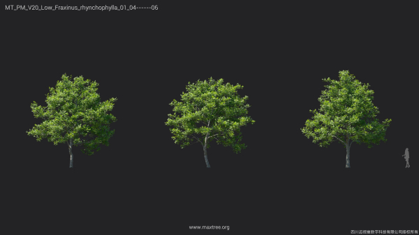 Maxtree Plant Models Vol 20 Low - Mesh