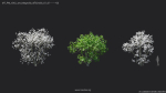 Maxtree Plant Models Vol 20 Low - Mesh
