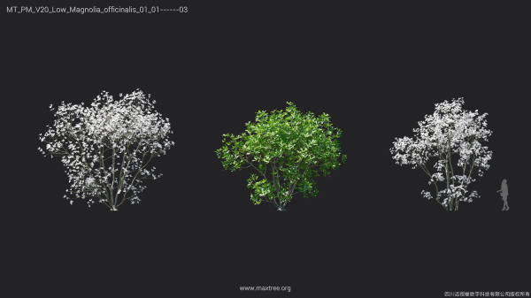 Maxtree Plant Models Vol 20 Low - Mesh