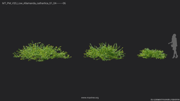 Maxtree Plant Models Vol 20 Low - Mesh