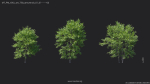 Maxtree Plant Models Vol 20 Low - Mesh