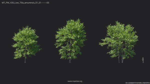 Maxtree Plant Models Vol 20 Low - Mesh