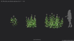 Maxtree Plant Models Vol 20 Low - Mesh