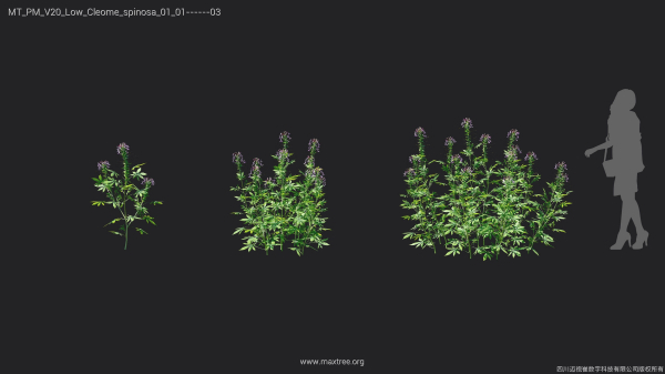 Maxtree Plant Models Vol 20 Low - Mesh