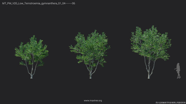 Maxtree Plant Models Vol 20 Low - Mesh