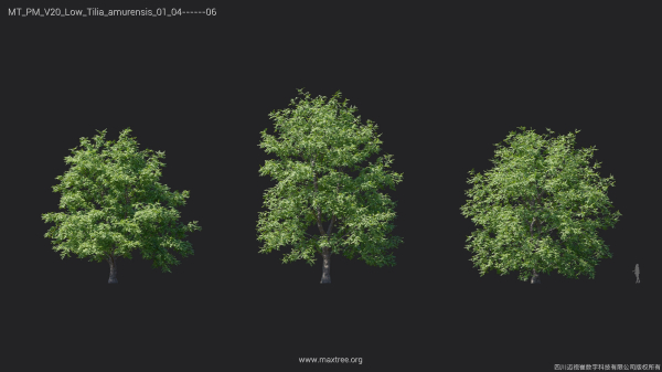 Maxtree Plant Models Vol 20 Low - Mesh