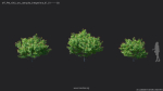Maxtree Plant Models Vol 20 Low - Mesh