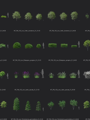 maxtree-plant-models-vol-20-low-mesh-3d-model-90cebbe551
