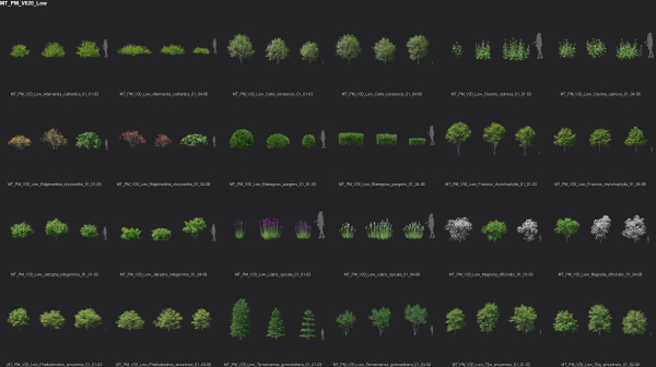 Maxtree Plant Models Vol 20 Low - Mesh
