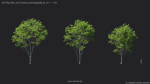 Maxtree Plant Models Vol 20 Low - Mesh