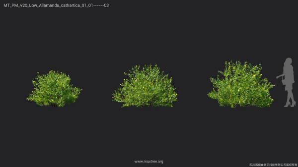 Maxtree Plant Models Vol 20 Low - Mesh