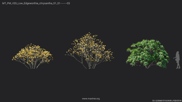 Maxtree Plant Models Vol 20 Low - Mesh