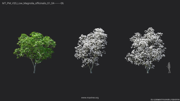 Maxtree Plant Models Vol 20 Low - Mesh