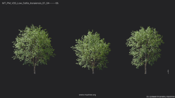 Maxtree Plant Models Vol 20 Low - Mesh