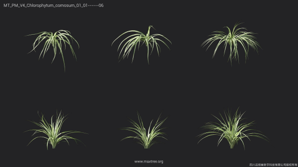 Maxtree Plant Models Vol 4 - Mesh