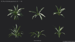 Maxtree Plant Models Vol 4 - Mesh