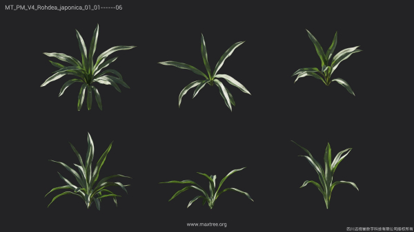 Maxtree Plant Models Vol 4 - Mesh
