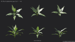 Maxtree Plant Models Vol 4 - Mesh