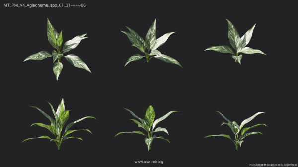 Maxtree Plant Models Vol 4 - Mesh