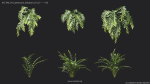 Maxtree Plant Models Vol 4 - Mesh