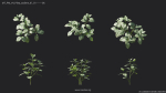 Maxtree Plant Models Vol 4 - Mesh