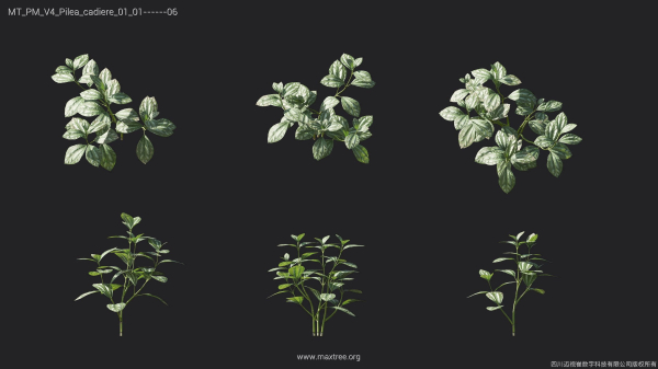 Maxtree Plant Models Vol 4 - Mesh