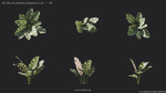 Maxtree Plant Models Vol 4 - Mesh