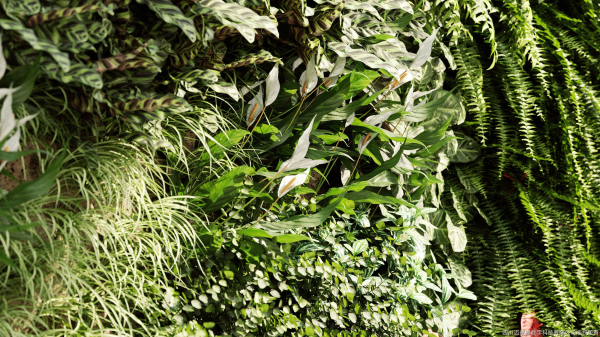 Maxtree Plant Models Vol 4 - Mesh
