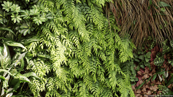 Maxtree Plant Models Vol 4 - Mesh