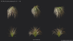 Maxtree Plant Models Vol 4 - Mesh
