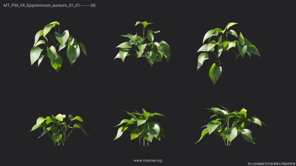 Maxtree Plant Models Vol 4 - Mesh