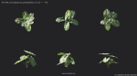 Maxtree Plant Models Vol 4 - Mesh