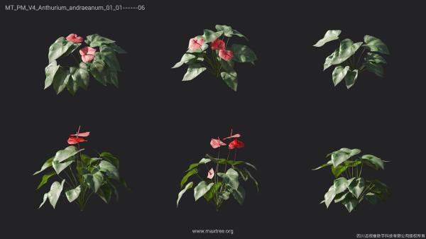 Maxtree Plant Models Vol 4 - Mesh