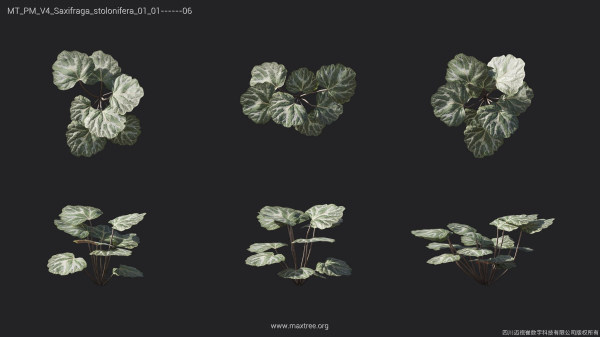 Maxtree Plant Models Vol 4 - Mesh