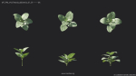 Maxtree Plant Models Vol 4 - Mesh