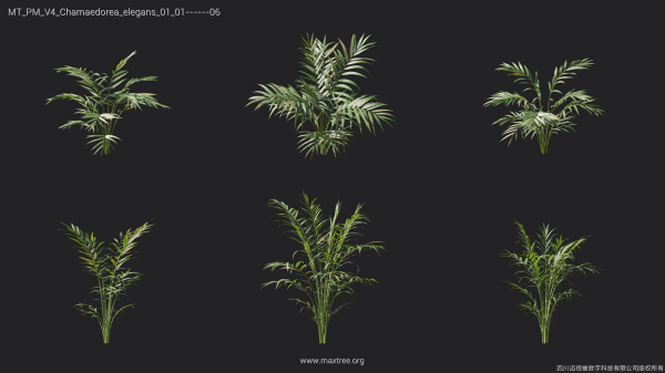 Maxtree Plant Models Vol 4 - Mesh