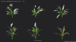 Maxtree Plant Models Vol 4 - Mesh
