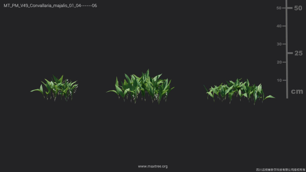 Maxtree Plant Models Vol 49 - Mesh