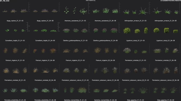 Maxtree Plant Models Vol 49 - Mesh