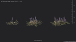 Maxtree Plant Models Vol 49 - Mesh