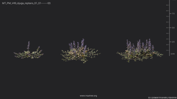 Maxtree Plant Models Vol 49 - Mesh