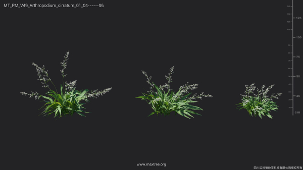 Maxtree Plant Models Vol 49 - Mesh