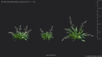 Maxtree Plant Models Vol 49 - Mesh