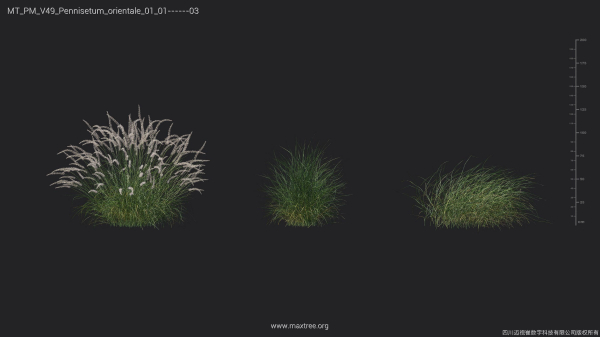 Maxtree Plant Models Vol 49 - Mesh