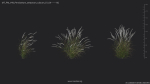 Maxtree Plant Models Vol 49 - Mesh