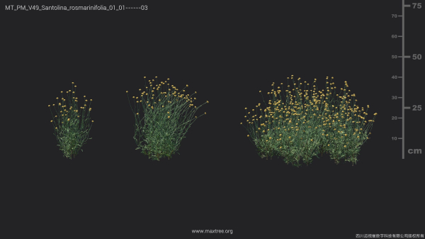 Maxtree Plant Models Vol 49 - Mesh