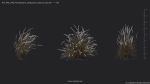 Maxtree Plant Models Vol 49 - Mesh