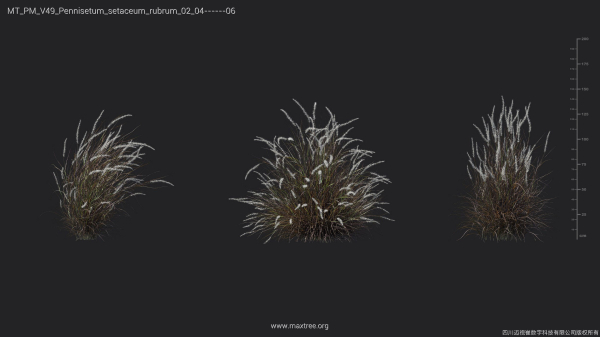 Maxtree Plant Models Vol 49 - Mesh