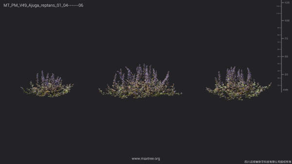 Maxtree Plant Models Vol 49 - Mesh